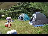 Click for preview picture of "DSC_0732 (800 x 600)"