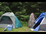 Click for preview picture of "DSC_0739 (800 x 600)"