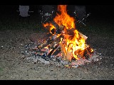 Click for preview picture of "DSC_0854 (800 x 600)"