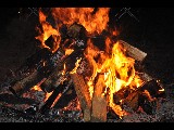 Click for preview picture of "DSC_0855 (800 x 600)"