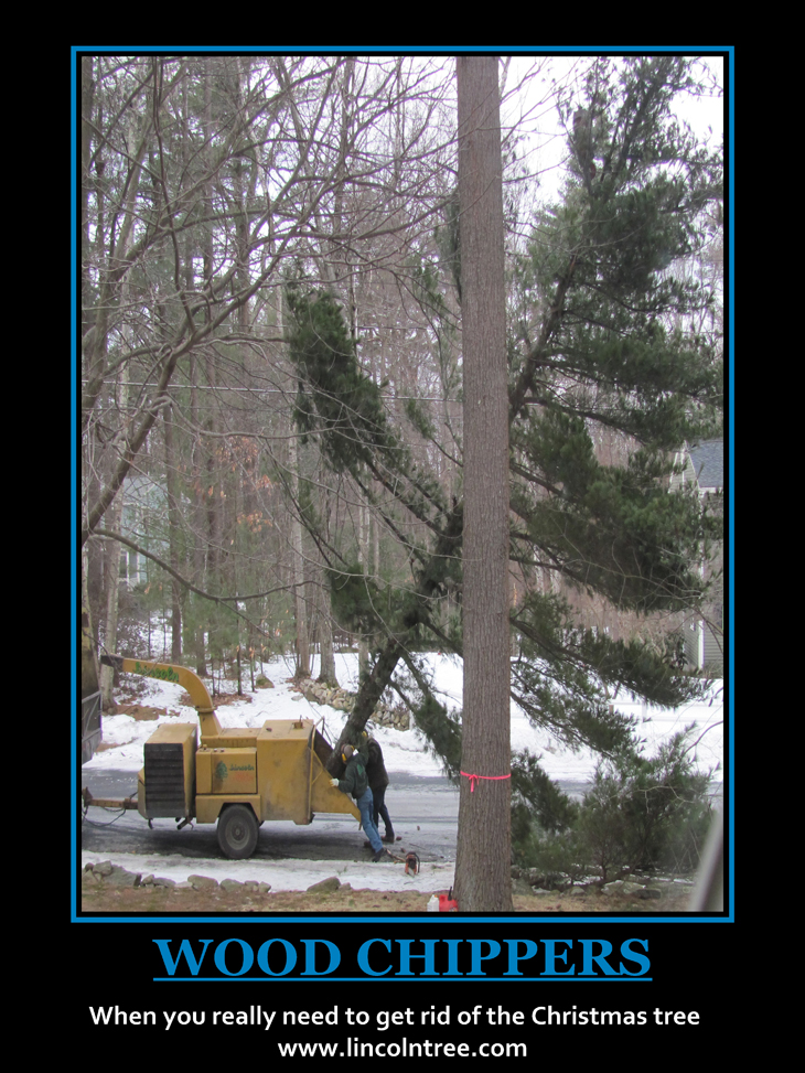 Wood Chippers When you really need to get rid of the Christmas tree
